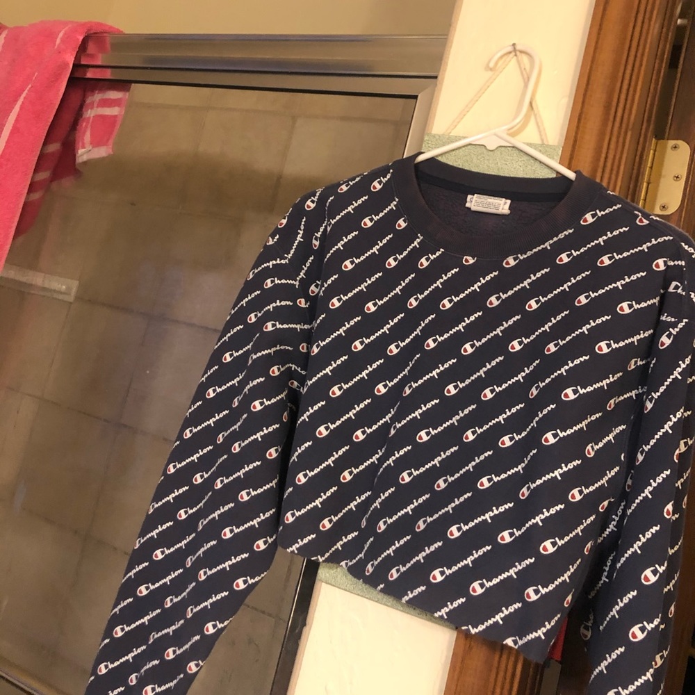 Champion crop hoodie